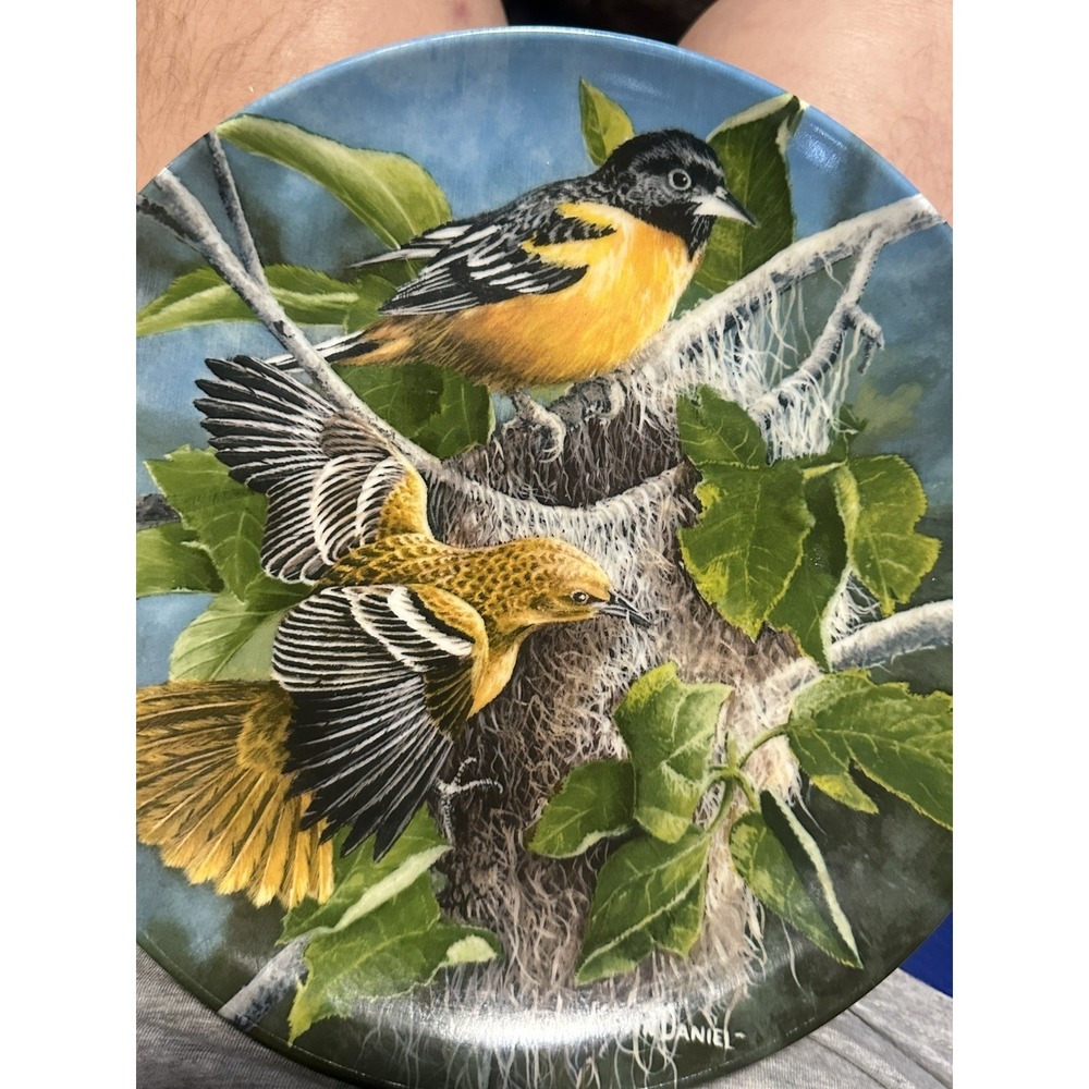 Vintage 1985 „The Baltimore Oriole „by Kevin Daniel -Edwin M Knowles Fine China